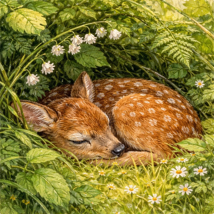 Krafttier Reh, hier: Kitztarnung Krafttier Reh, hier: Kitztarnung
