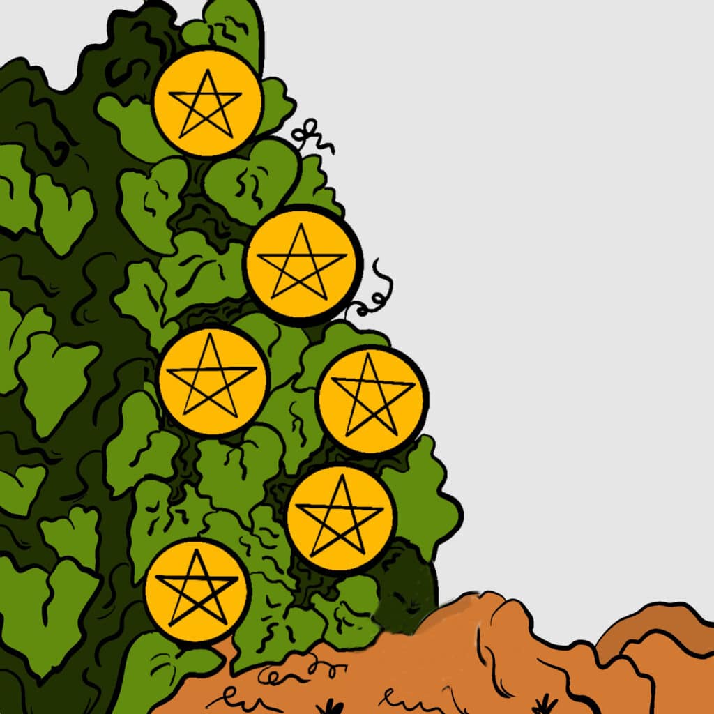 Der MĂĽnzenstrauch Der MĂĽnzenstrauch