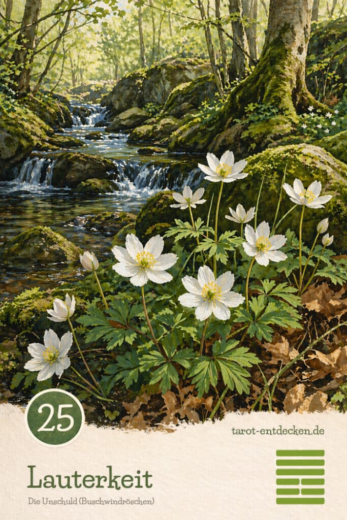 Hexagramm 25 im I Ging: Die Unschuld Hexagramm 25 im I Ging: Die Unschuld