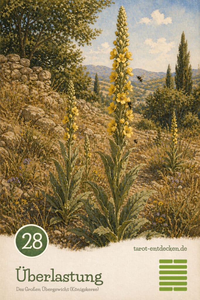 Hexagramm 28: Des Großen Übergewicht Hexagramm 28: Des Großen Übergewicht