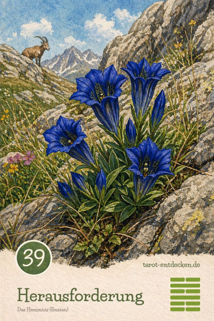 Hexagramm 39 im I Ging: Das Hemmnis Hexagramm 39 im I Ging: Das Hemmnis