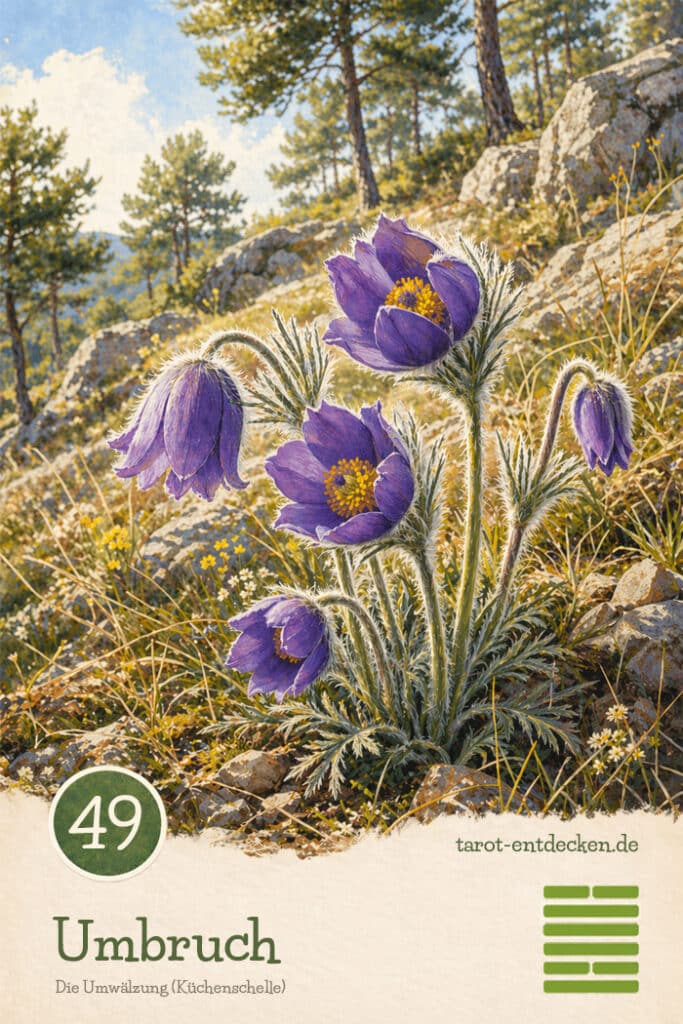 Hexagramm 49 im I Ging: Die Umwälzung Hexagramm 49 im I Ging: Die Umwälzung