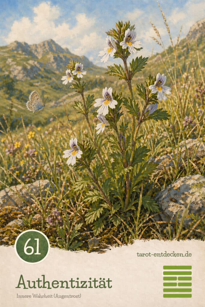 Hexagramm 61 im I Ging: Innere Wahrheit Hexagramm 61 im I Ging: Innere Wahrheit