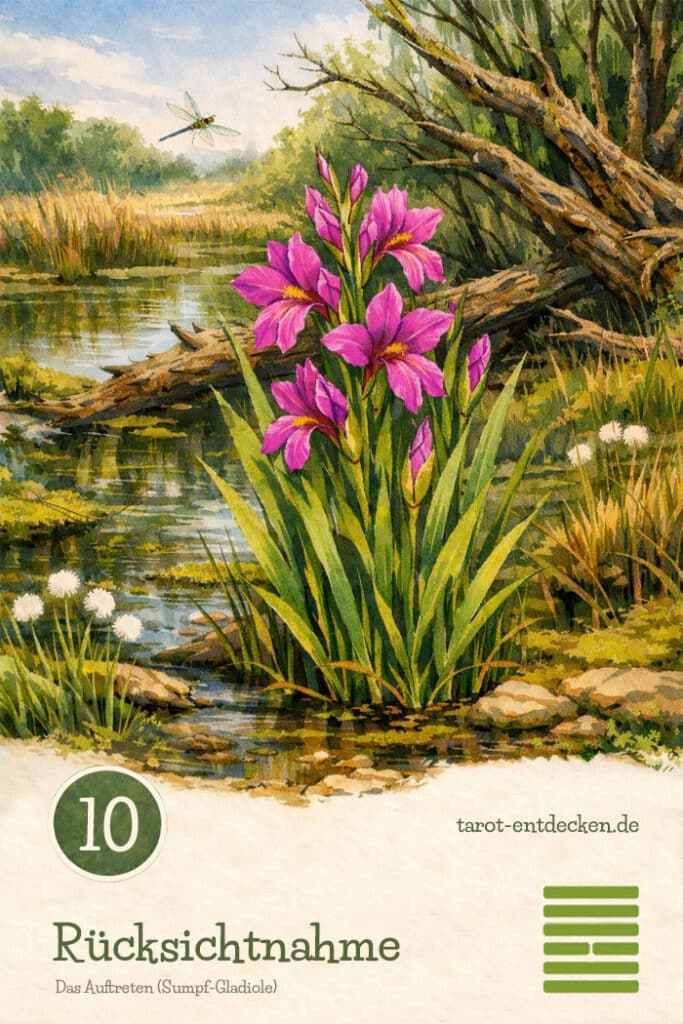 Hexagramm 10 im I Ging: Das Auftreten Hexagramm 10 im I Ging: Das Auftreten