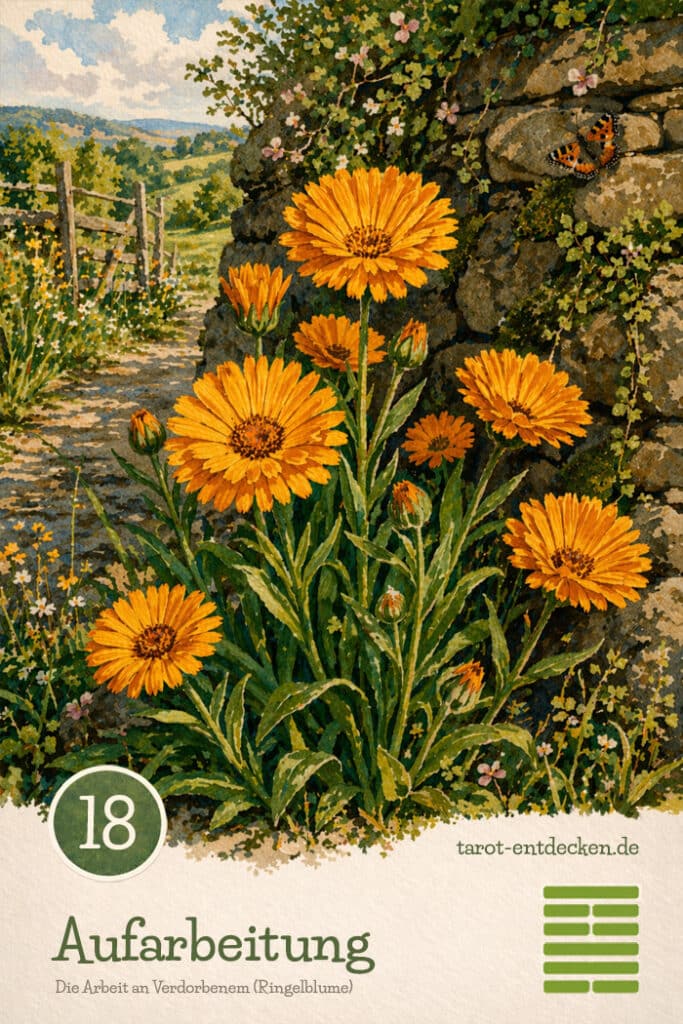 Hexagramm 18 im I Ging: Die Arbeit an Verdorbenem Hexagramm 18 im I Ging: Die Arbeit an Verdorbenem