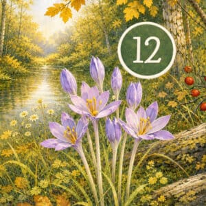 Hexagramm 12: Die Stockung