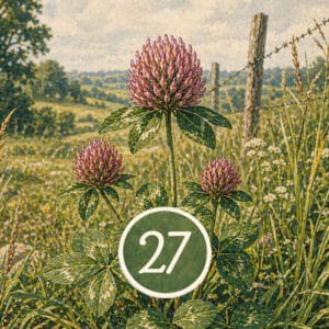 Hexagramm 27: Die Ernährung
