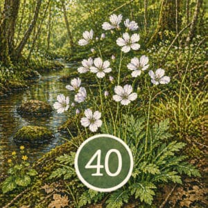 Hexagramm 40: Die Befreiung