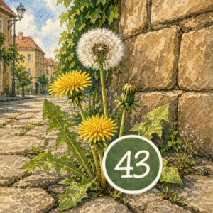 Hexagramm 43: Der Durchbruch