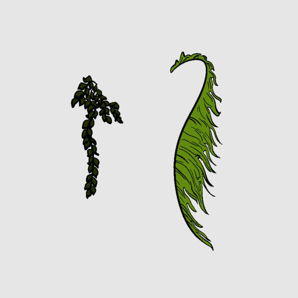 Tarotkarte "Ass der Schwerter": grüne Zweige