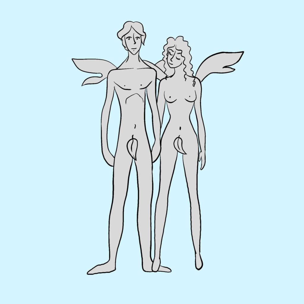 Tarotkarte "Der König der Schwerter": das Elfenpaar Tarotkarte "Der König der Schwerter": das Elfenpaar