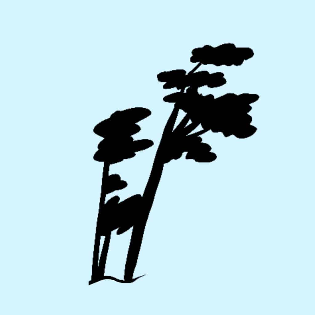 Tarotkarte: Ritter der Schwerter im Tarot mit Bedeutung ritter der schwerter tarot baeume