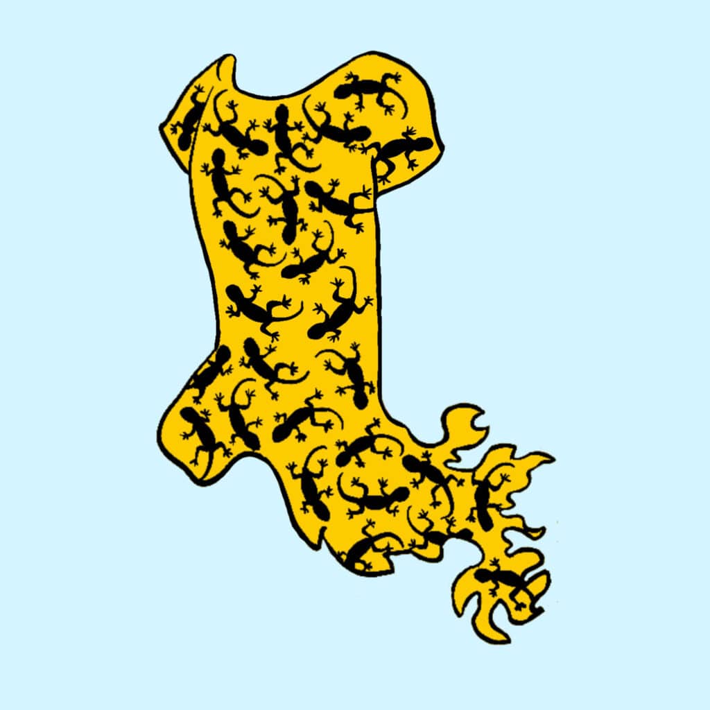 ritter der staebe tarot umhang feuersalamander