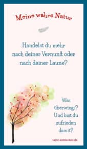 card-48
