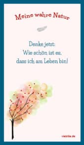 card-20